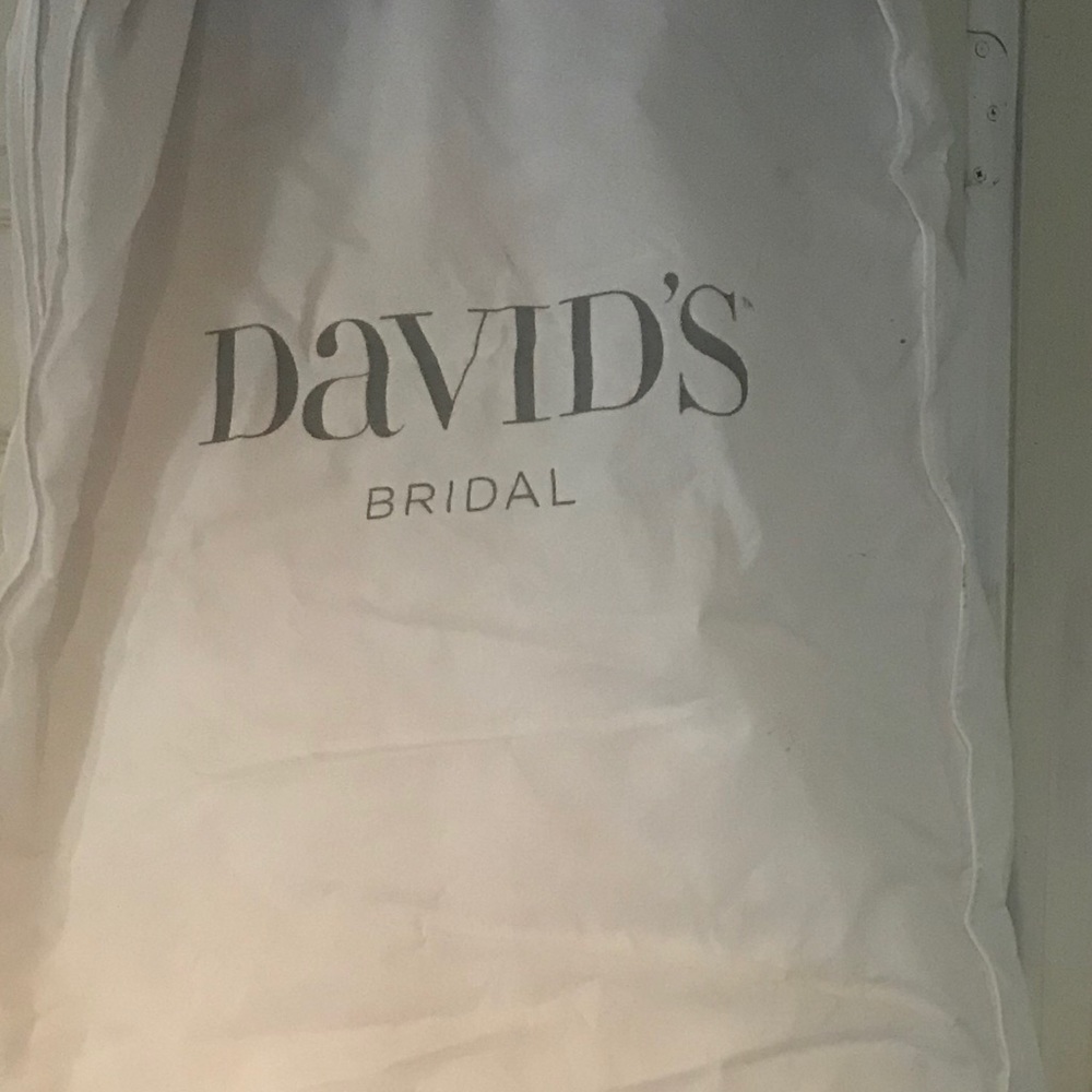 🚨FREE SHIPPING Vera Wang Wedding Dress GREAT DEAL - Picture 6 of 6